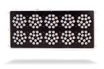 Kind LED K3 L600 VEG
