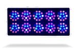 Kind LED K3 L600 VEG