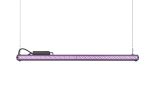 X Series Bar Light Veg, Flr, Custom Double Sided (4ft)