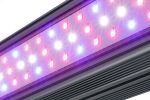 X Series Bar Light Veg, Flr, Custom Double Sided (4ft)