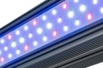 X Series Bar Light Veg, Flr, Custom Double Sided (4ft)